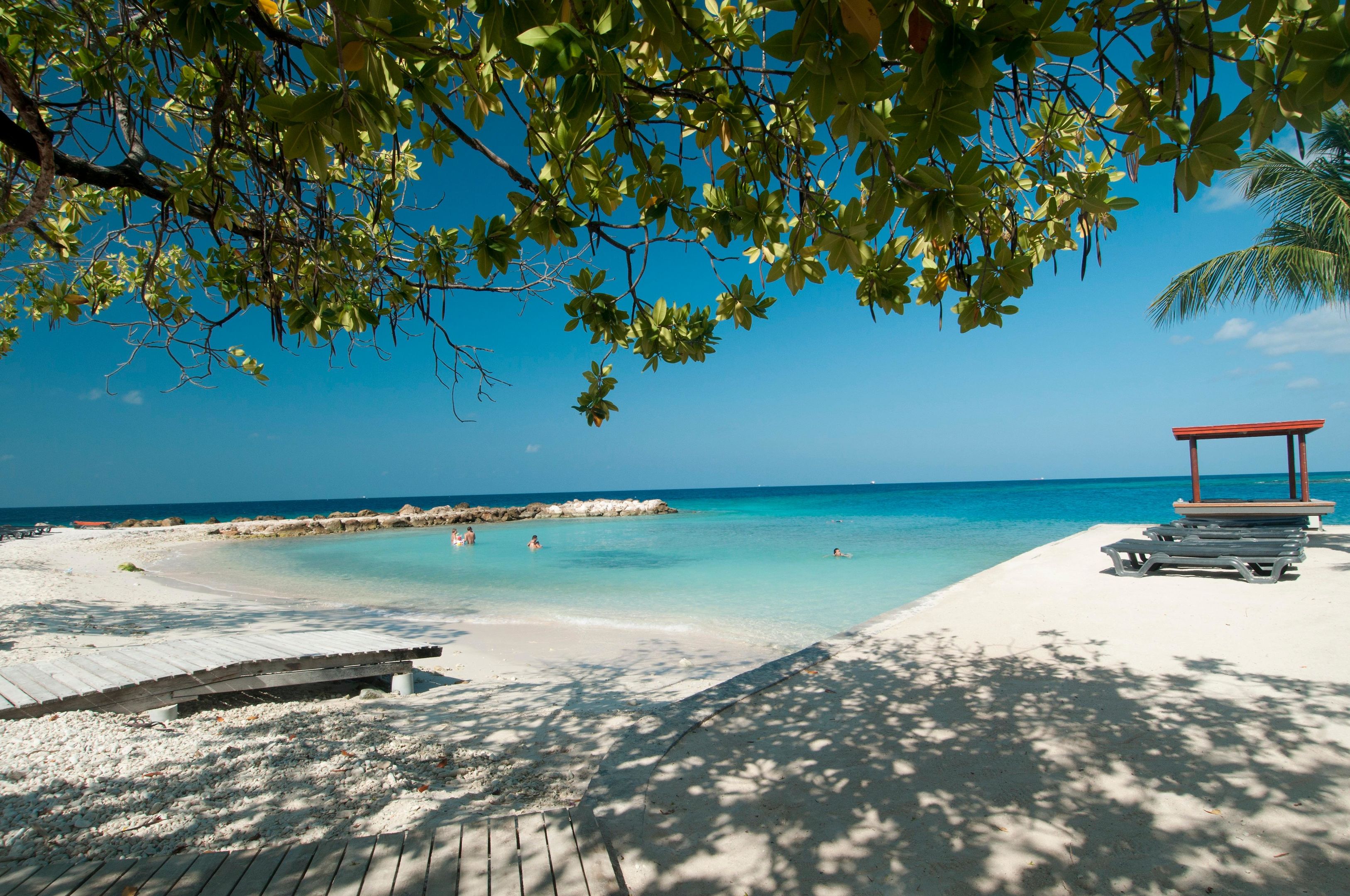 Tropisch strand met uitzicht op oceaan